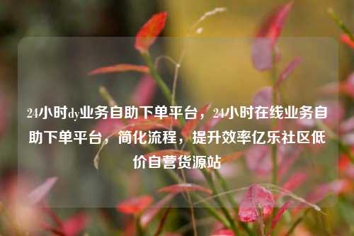 24小时dy业务自助下单平台，24小时在线业务自助下单平台，简化流程，提升效率亿乐社区低价自营货源站  第1张